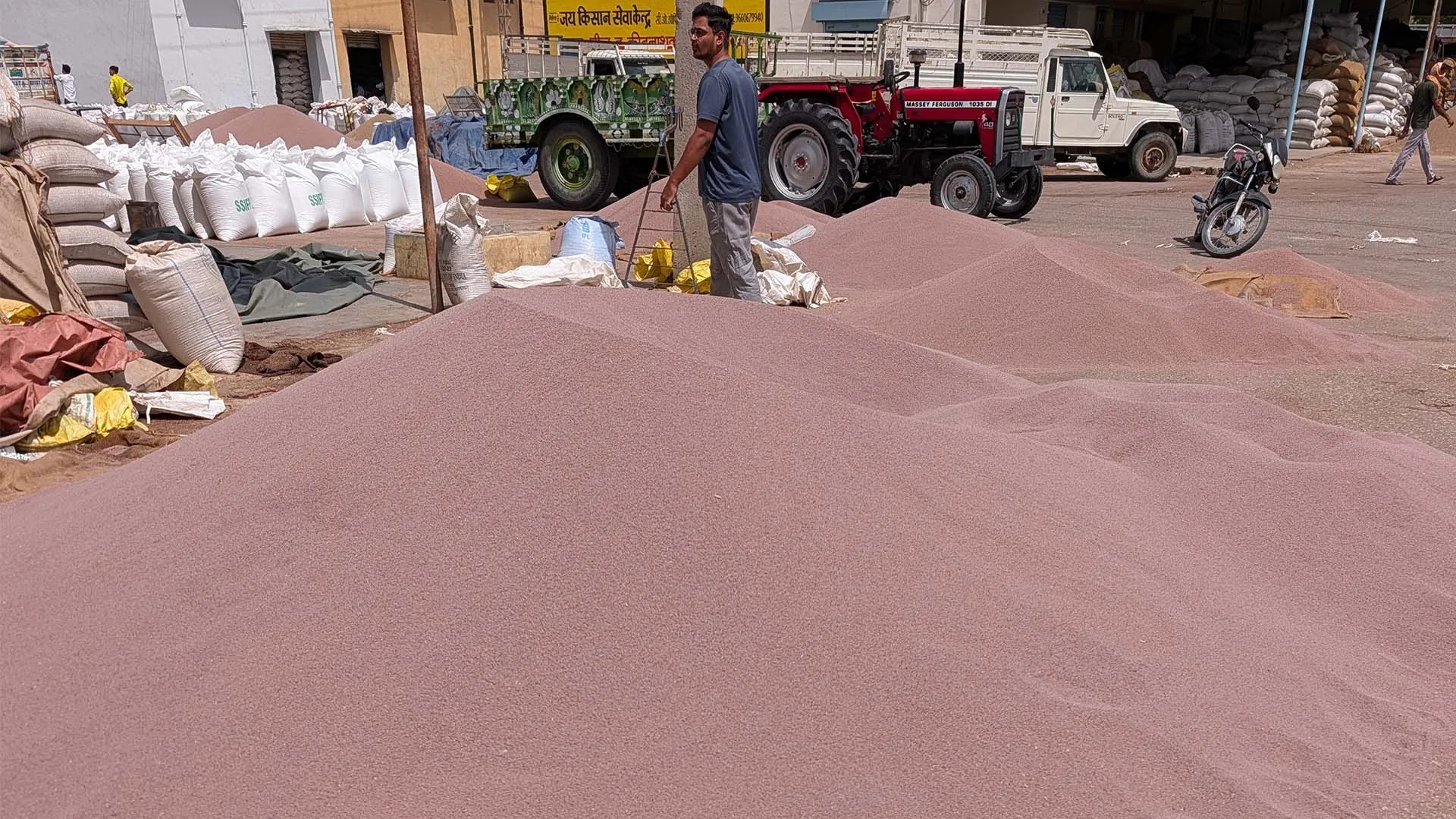Mandi Origin